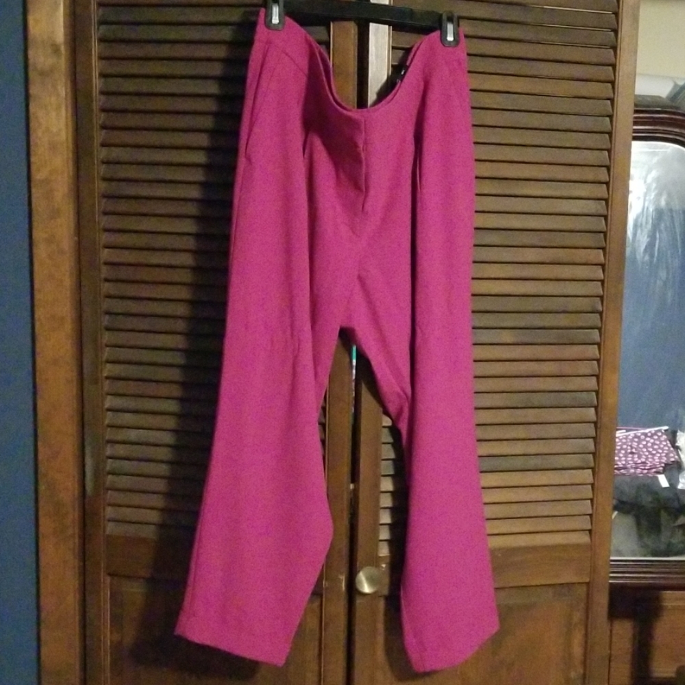 NWT Trouser Pants from The Limited